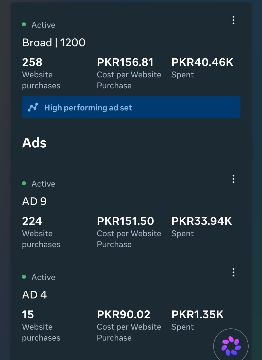 Anonymized paid social dashboard showing an ad with 224 website purchases.